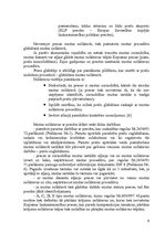 Referāts 'Muitas noliktavas turēšanas atļauju izsniegšana un grozījumi tās saturā', 11.