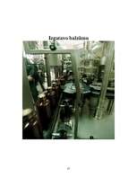 Referāts 'Latvijas balzams', 25.