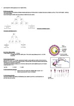 Konspekts 'Bioloģijas kolokvija jautājumi un atbildes', 7.