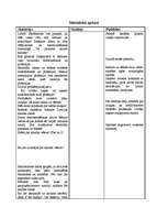 Konspekts 'Integrētā nodarbība sociālajās zinībās', 4.