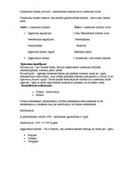 Konspekts 'Tirgvedības loma uzņēmējdarbībā', 3.