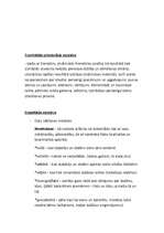 Konspekts 'Pētniecības metožu klasifikācija pedagoģijā', 4.