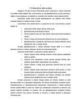 Referāts 'Prokuratūra', 3.