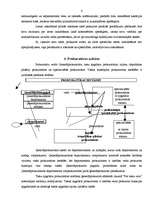 Referāts 'Prokuratūra', 6.