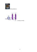 Referāts 'Biodegviela', 15.