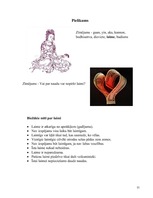 Referāts 'Jaunrades laime', 11.