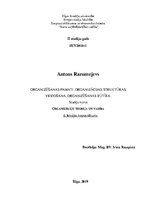 Konspekts 'Organizēšanas pamati. Organizācijas struktūras veidošana. Organizēšanas būtība', 1.