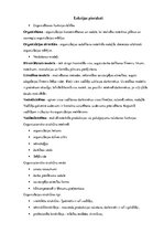 Konspekts 'Organizēšanas pamati. Organizācijas struktūras veidošana. Organizēšanas būtība', 3.