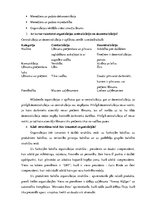 Konspekts 'Organizēšanas pamati. Organizācijas struktūras veidošana. Organizēšanas būtība', 6.