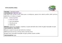 Konspekts 'SEM nodarbības plāns', 2.