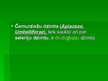 Prezentācija 'Čemurzieži un to dzimta', 2.