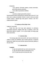 Biznesa plāns 'SIA "B.K."', 6.