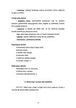 Biznesa plāns 'SIA "B.K."', 13.