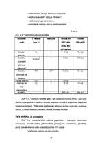 Biznesa plāns 'SIA "B.K."', 18.