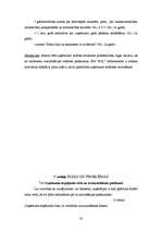 Biznesa plāns 'SIA "B.K."', 29.