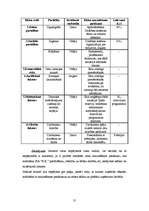 Biznesa plāns 'SIA "B.K."', 30.