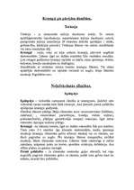 Referāts 'Vispārējie krampji', 3.