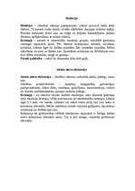 Referāts 'Vispārējie krampji', 4.