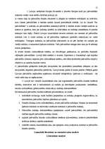 Referāts 'Pašvaldību budžets', 13.