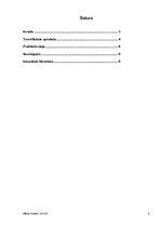 Referāts 'Transporta pārvadājumaminimizācijas iespējas', 2.