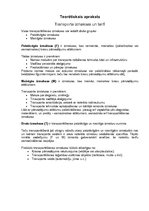 Referāts 'Transporta pārvadājumaminimizācijas iespējas', 4.