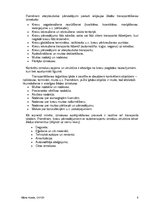 Referāts 'Transporta pārvadājumaminimizācijas iespējas', 5.