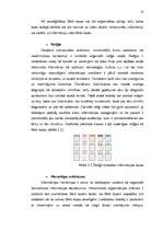 Referāts 'Mazbudžeta web lapas dizains', 13.