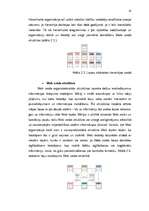 Referāts 'Mazbudžeta web lapas dizains', 14.