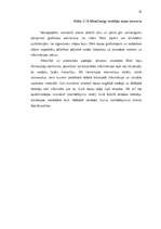 Referāts 'Mazbudžeta web lapas dizains', 35.