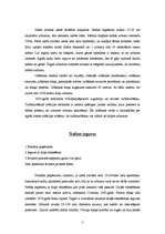 Referāts 'Nafta', 5.