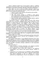 Referāts 'Valsts policija', 11.