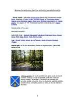 Referāts 'Iecava', 6.