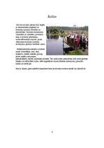 Referāts 'Iecava', 7.