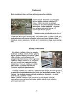 Referāts 'Iecava', 16.