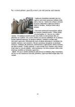 Referāts 'Iecava', 17.