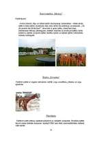 Referāts 'Iecava', 26.