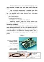 Referāts 'Tīkla sastāvdaļas', 4.