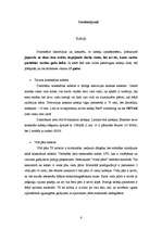 Referāts 'Tīkla sastāvdaļas', 6.