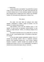 Referāts 'Tīkla sastāvdaļas', 7.