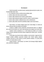 Referāts 'Saules bateriju lietojuma iespēju izpēte', 22.