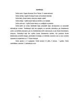 Referāts 'Saules bateriju lietojuma iespēju izpēte', 24.