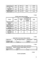 Referāts 'Viesnīcas "Pauze" finanšu rādītāju analīze', 16.