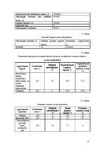 Referāts 'Viesnīcas "Pauze" finanšu rādītāju analīze', 17.