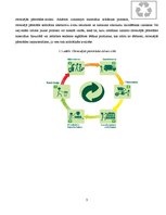 Referāts 'Izejvielu otrreizējā pārstrāde', 3.