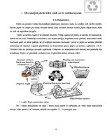 Referāts 'Izejvielu otrreizējā pārstrāde', 4.