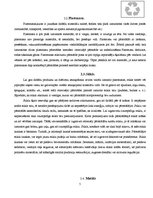 Referāts 'Izejvielu otrreizējā pārstrāde', 5.