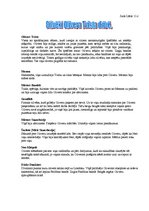 Konspekts 'Cilvēki Olivera Tvista dzīvē', 1.