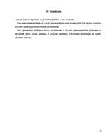 Referāts 'Atkritumu problēma jārisina nekavējoties! ', 26.