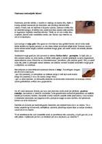 Konspekts 'Skaistuma faktori', 1.