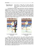 Referāts 'Svarbumbu sporta sacensību vingrinājumu tehnikas analīze un didaktika', 13.